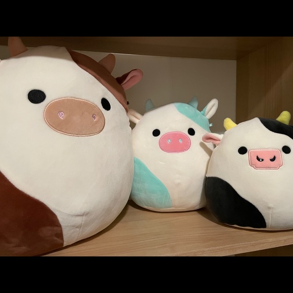 Meet your Posher, Grace - Picture 1 of 1